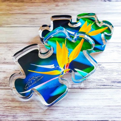 Ultra Vivid Color Paperweights